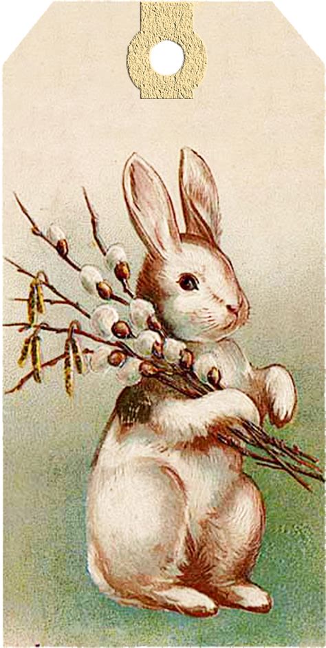 free printable vintage bunny images|free downloadable pictures easter bunny.